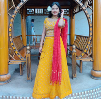 Noopur  Biswas